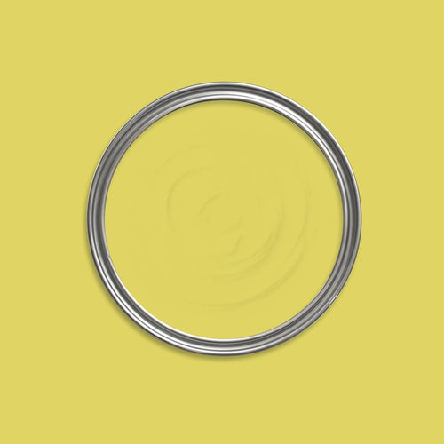 Cactus Green Paint swatch icon