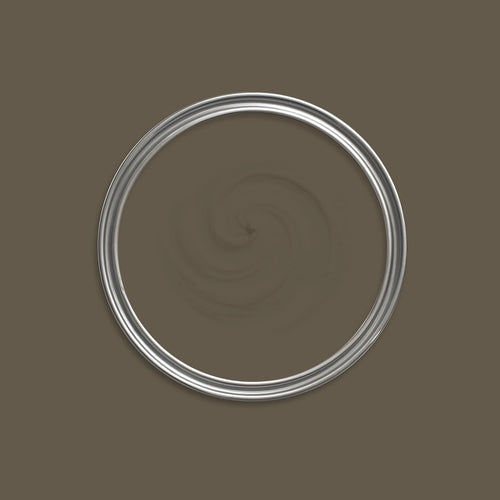 Centaur Paint swatch icon