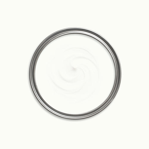 Expedition White Paint swatch icon