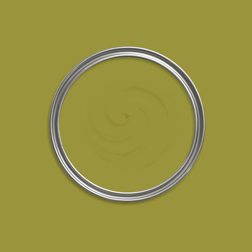 Jurassic Green Paint swatch icon