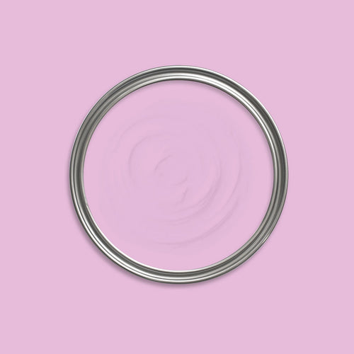 Paradise Pink Paint swatch icon