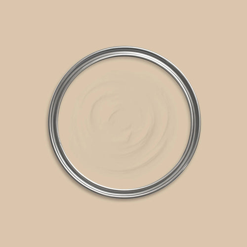 Troy Paint swatch icon