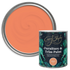 Starlit Coral Paint