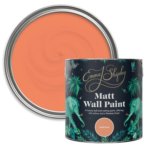Starlit Coral Paint