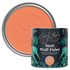 Starlit Coral Paint