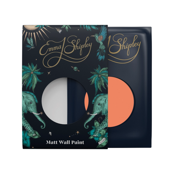 Starlit Coral Paint