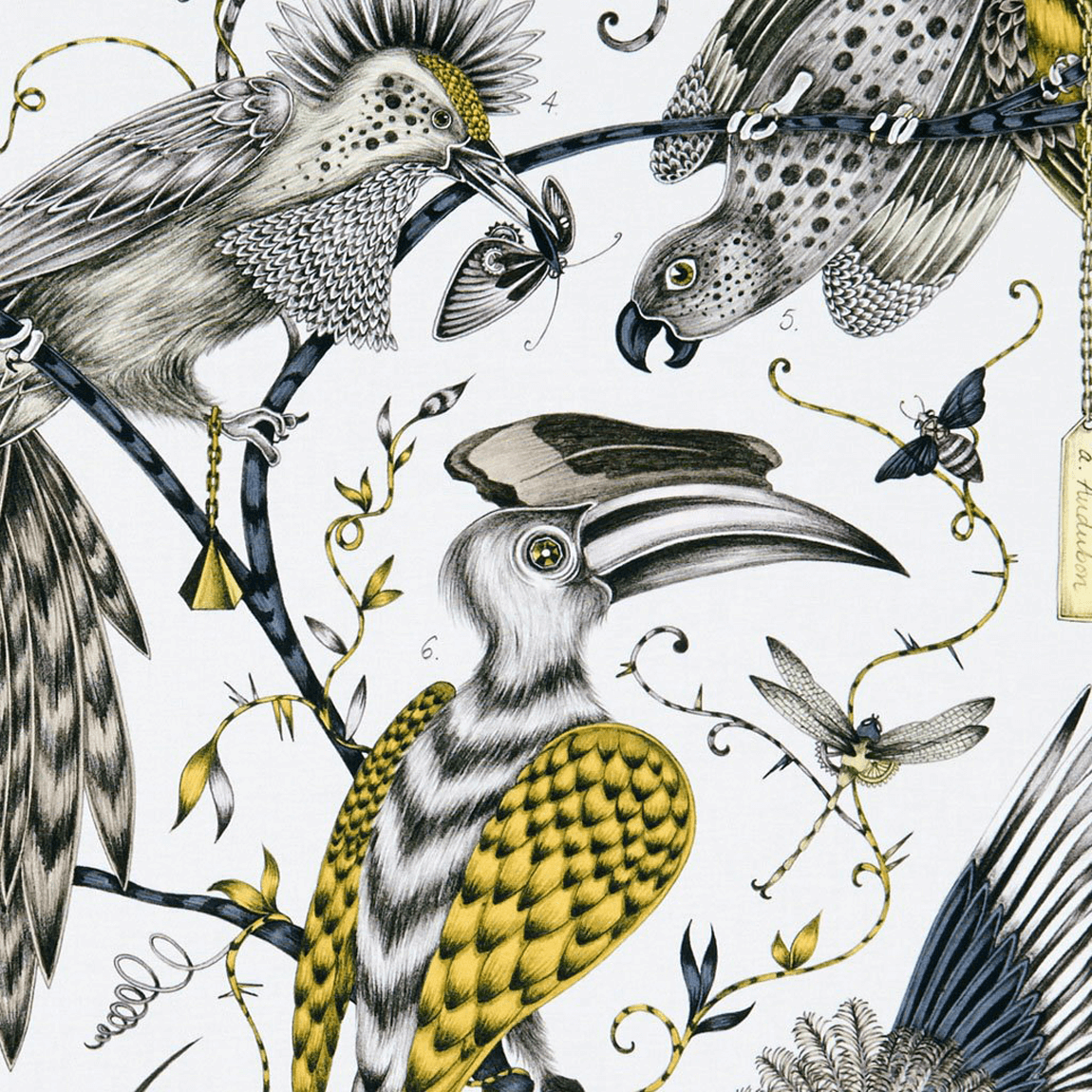 Satin　Emma　J　Cotton　Shipley　Audubon　Fabric