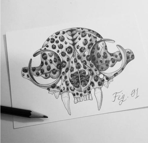 A leopard spotted skull