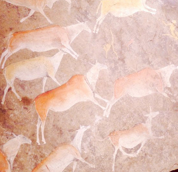 African Adventures Part One: Cape Town