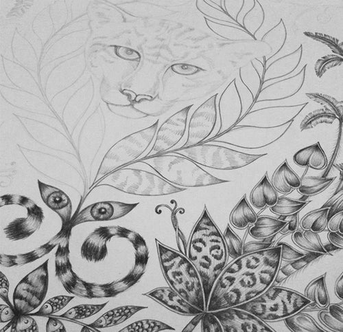 Amazon pencil drawing detail