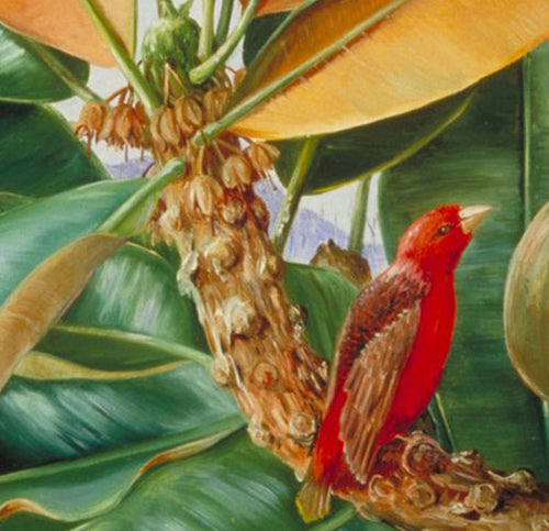 Artist inspiration - The fantastical style of Marianne North