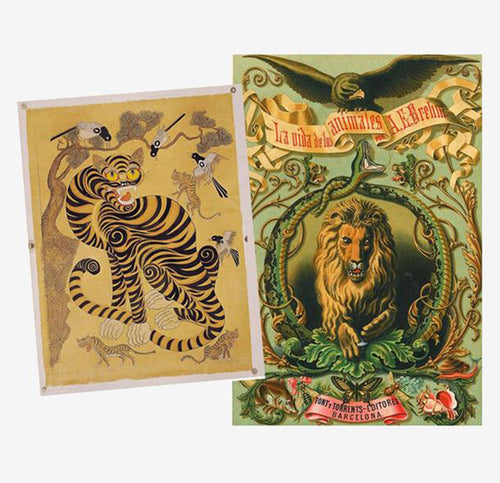 Behind the Design: Discover Amazon