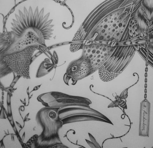 #EJSHeroes - artist inspiration behind the Audubon illustration