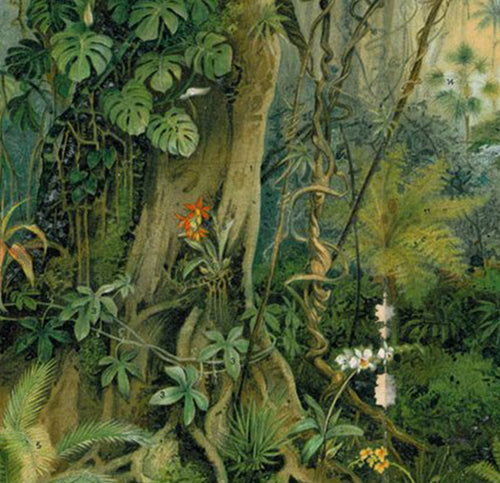 #EJSHeroes - influences behind the Amazon design