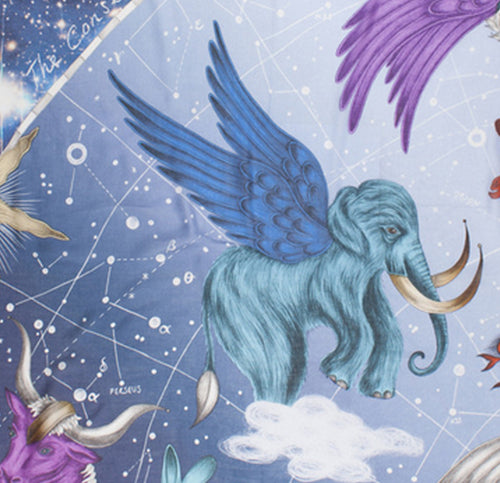 Joan Fontcuberta - Mixing Science with Art