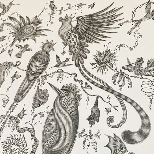 Behind the Design: Quetzal