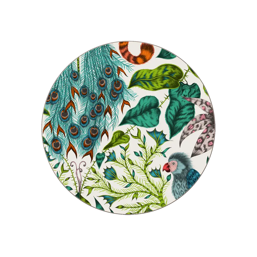 Amazon Coaster