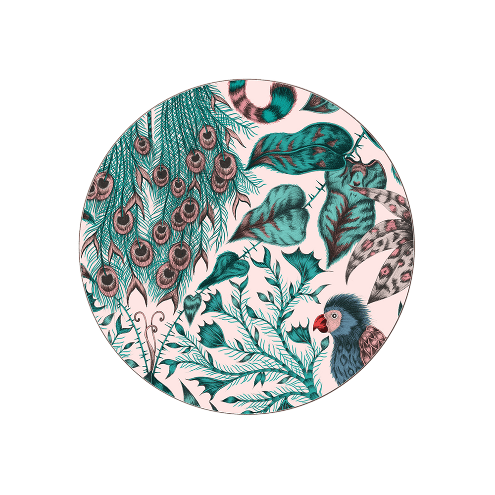 Amazon Coaster