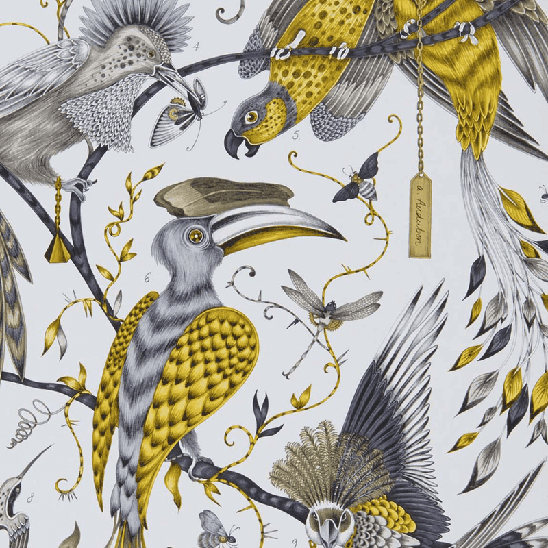  The Gold Audubon Wallpaper designed by Emma J Shipley x Clarke & Clarke