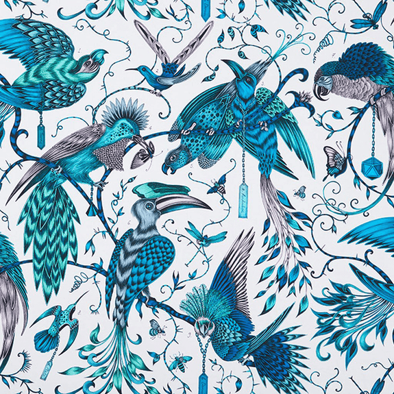 Jungle | 