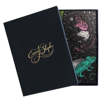 Constellation Silk Notebook