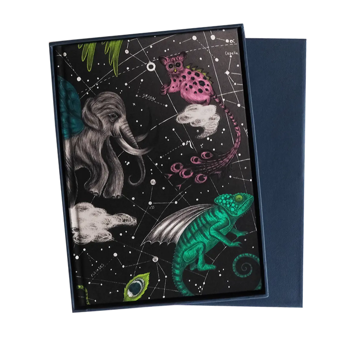 Constellation Silk Notebook