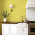 Cactus Green Paint