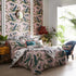 US Queen | 2 x Standard |