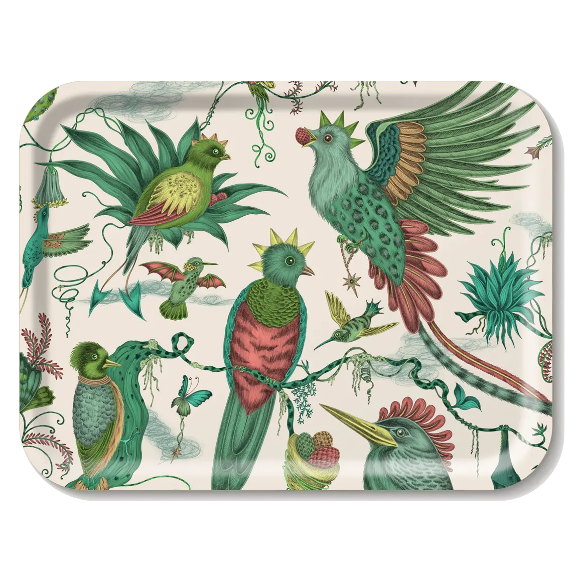 Quetzal Rectangle Tray