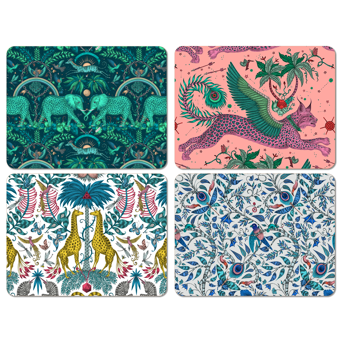 The Explorer Placemat Set