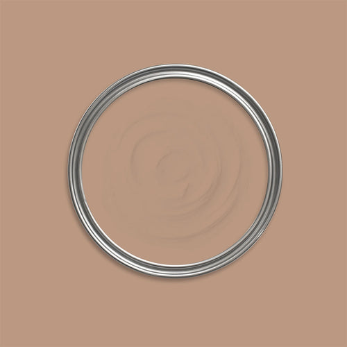 Athenian Clay Paint swatch icon