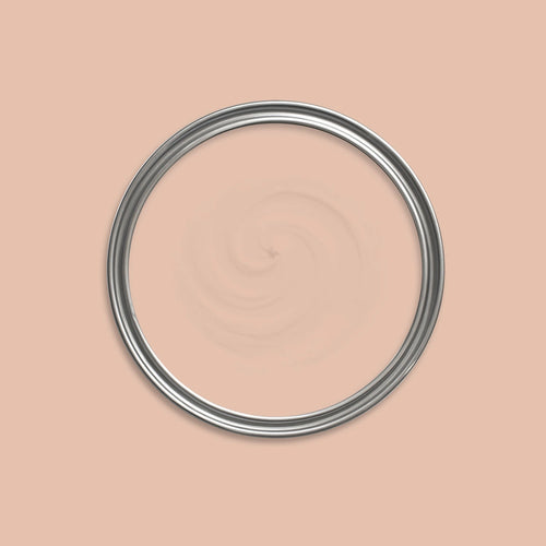 Botticelli Paint swatch icon