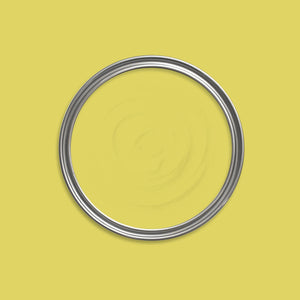 Cactus Green Paint swatch icon
