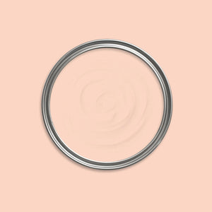Chameleon Pink Paint swatch icon