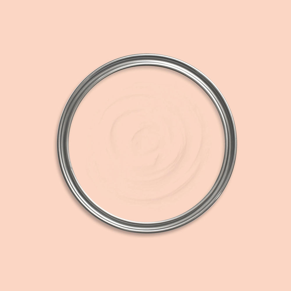 Chameleon Pink Paint