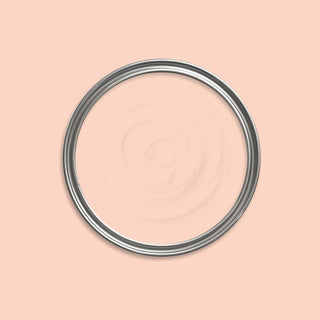 Chameleon Pink Paint