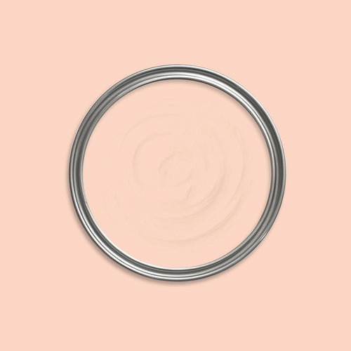 Chameleon Pink Paint swatch icon