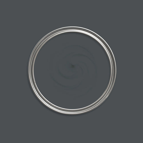Dürer Grey Paint swatch icon