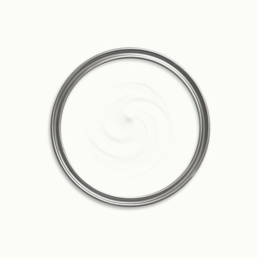 Expedition White Paint