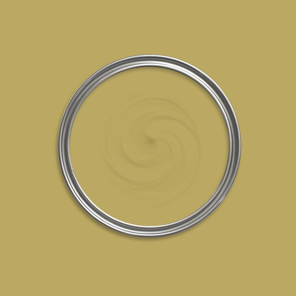 Golden Fleece Paint