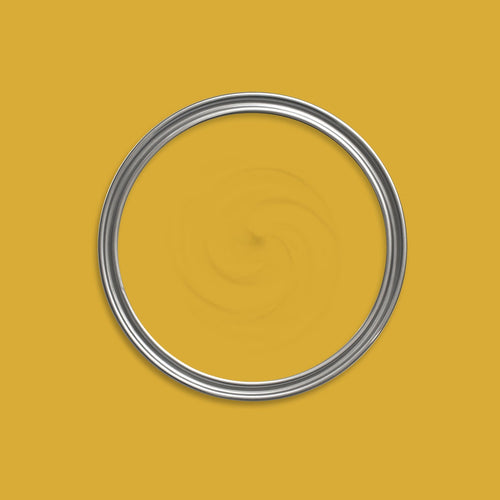 Honey Bee Paint swatch icon