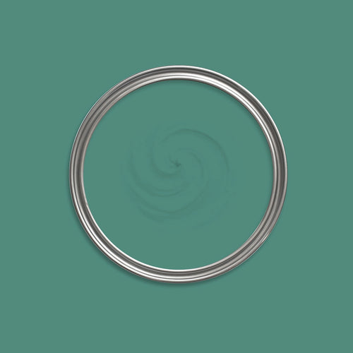 Medusa Paint swatch icon