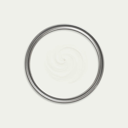Pegasus Paint swatch icon