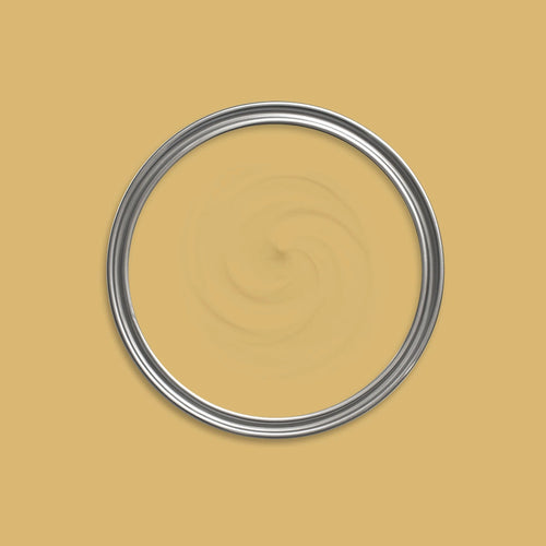 Pharaoh's Ochre Paint swatch icon