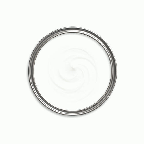 Sabre Tooth Paint swatch icon