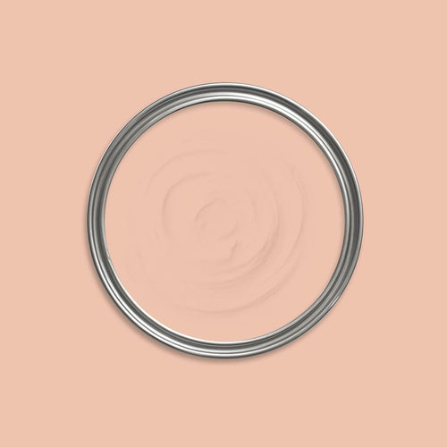 Seraphim Paint swatch icon