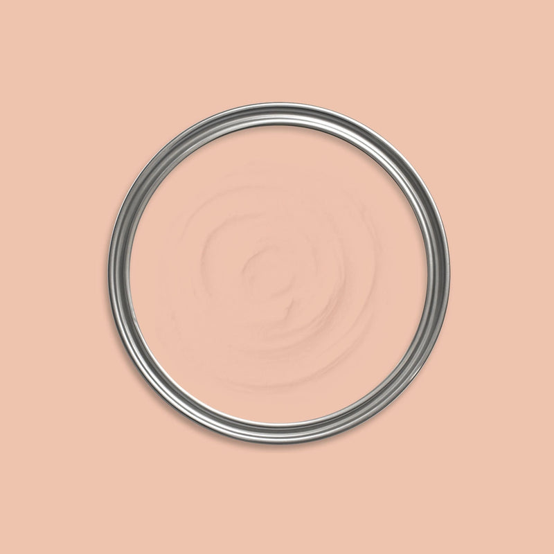 Seraphim Paint