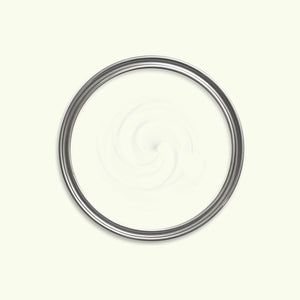 Snow Feather Paint swatch icon