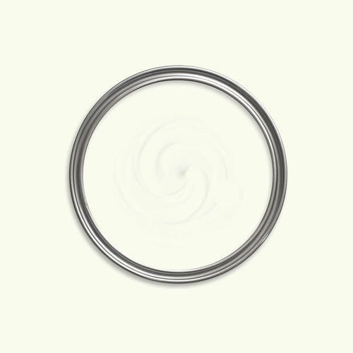 Snow Feather Paint swatch icon