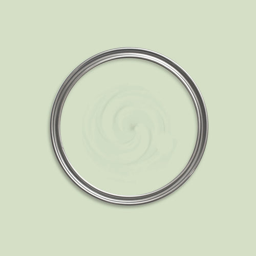 Snow Forest Paint swatch icon